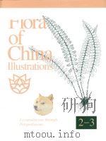 flora of china illustraations volume 2-3（ PDF版）
