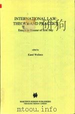 International Law Theory and Practice Essays in Honour of Eric Suy（1998 PDF版）
