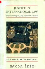Justice in International Law（1994 PDF版）