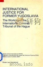 International Justice for Former Yugoslavia the Working of the International Criminal Tribunal of th（1996 PDF版）