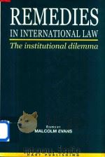 Remedies in International Law:the Institutional Dilemma（1998 PDF版）