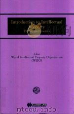 Introduction to Intellectual Property Theory and Practice（1998 PDF版）