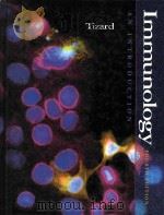 Immunology an introduction Fourth Edition（1995 PDF版）