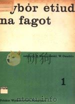 WYBOR ETIRD NA FAGOT 1 PDF电子版封面