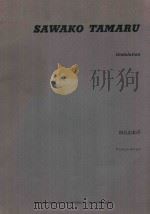 UNDULATION 1988 PDF电子版封面 SAWAKO TAMARU