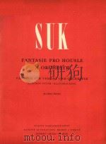 FANTASIE PRO HOUSLE A ORCHESTR（1961 PDF版）