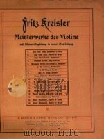 MEISTERWERKE DER VIOLINE PDF电子版封面