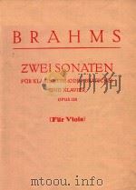 BRAHMS  ZWEISONATEN  FUR LARINETTE (ODER BRATSCHE)  UND KLAVIER  OPUS 120  (Fiir Viola)（ PDF版）