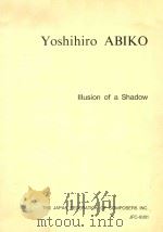 IIIusion of a Shadow 1994 PDF电子版封面