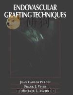 Endovascular grafting techniques（1999 PDF版）
