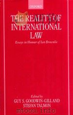 The Reality of International Law Essays in Honour of Ian Brownlie（1999 PDF版）