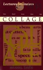 COLLAGE LECTURES LITTERAIRES 1981 PDF电子版封面 0394326458