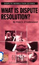 What is Dispute Resolution?（1998 PDF版）