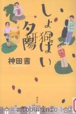 しょっぱい夕陽（ PDF版）