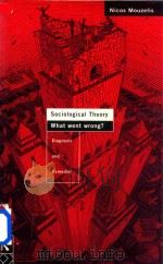Sociological Theory:What Went Wrong?Diagnosis and Remedies（1995 PDF版）