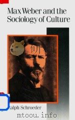 Max Weber and the Sociology of Culture（1992 PDF版）