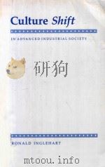 Culture Shift in Advanced Industrial Society 1990 PDF电子版封面 0691022968 Ronald Inglehart