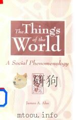 The Things of The World a Social Phenomenology（1998 PDF版）