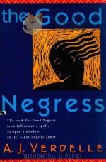 THE GOOD NEGRESS（1995 PDF版）
