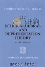 Suhur algebras and representation theory（1993 PDF版）