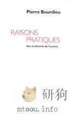 Raisons Pratiques Sur la théorie de l'action（1994 PDF版）