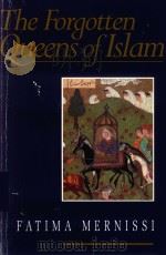 THE FORGOTTEN QUEENS OF ISLAM FATIMA EMRNISSI（1993 PDF版）