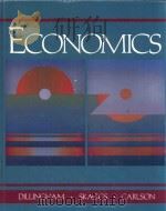 ECONOMICS INDIVIDUAL CHOICE AND ITS CONSEQUENCES 1992 PDF电子版封面 0205130127