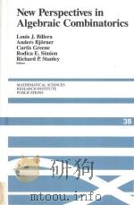 New Perspectives in Algebraic Combinatorics（1999 PDF版）