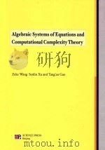 Algebraic systems of equations and computational complexity theory（1992 PDF版）