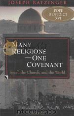 MANY RELIGIONS-ONE COVENANT（1999 PDF版）