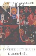 INVISIBILITY BLUES FROM POP TO THEORY 1990 PDF电子版封面 9781844672868