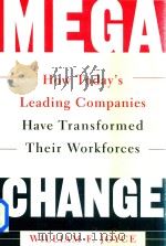 Mega Change How Today's Leading Companies Have Transformed Their Workforces（1999 PDF版）