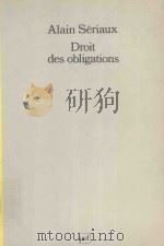 DRPIT DES PBLIGATIONS 1992 PDF电子版封面 2130443100 ALAIN SERIAUX