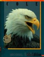 THE AMERICAN SYSTEM OF CRIMINAL JUSTICE（1992 PDF版）