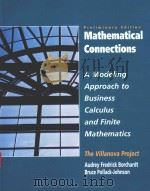 MATHEMATICAL CONNECTIONS:A MODELING APPROACH TO BUSINESS CALCULUS AND FINITE MATHEMATICS（1998 PDF版）