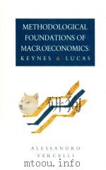 Methodological Foundations of Macroeconomics Keynes and Lucas 1991 PDF电子版封面 0521392942 Alessandro Vercelli