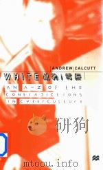 White Noise An A-Z Of The Contradictions In Cyberculture 1999 PDF电子版封面 0333699556 Andrew Calcutt