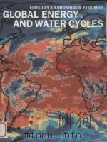 Global energy and water cycles（1999 PDF版）