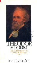 Georg Bollenbeck Theodor Storm 1988 PDF电子版封面 3458146210