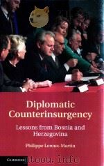 diplomatic counterinsurgency lessons from bosnia and herzegovna PDF电子版封面