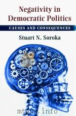 Negativity In Democratic Politics Causes And Consequences（ PDF版）