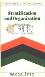 Stratifiction And Organization Selected Papers（1986 PDF版）