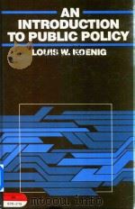 An Introduction To Pulic Policy（1986 PDF版）