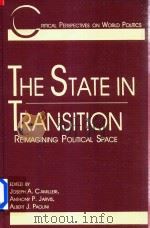 Critical Perspectives On World Politics（1995 PDF版）