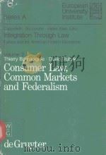 INTEGRATION THROUGH LAW VOLUME 3 1986 PDF电子版封面 3110107414