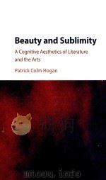 beauty and sublimity a cognitive aesthetics of literature and the arts（ PDF版）