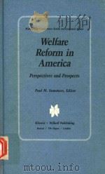 WELFARE REFORM IN AMERICA（1982 PDF版）