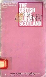 THE BRITISH CRIME SURVEY SCOTLAND 1984 PDF电子版封面 0114923795
