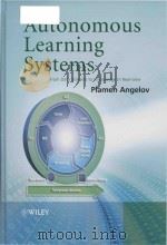 autonomous learning systems from data streams to knowledge in real-time（ PDF版）