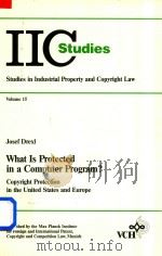 What Is Protected in a Computer Program?（1994 PDF版）